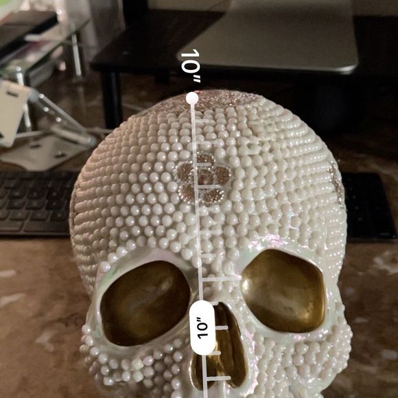 Pearl Skull - Picture 13 of 13